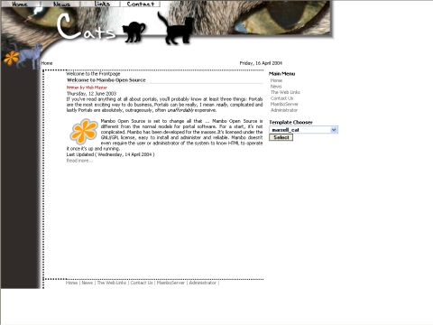 marsell_cat