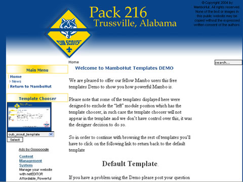 cub_scout_template